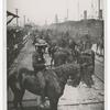 Roosevelt's "Rough Riders" arrival at Tampa.