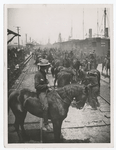 Roosevelt's "Rough Riders" arrival at Tampa.