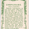 Corncrake.