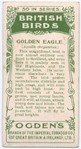 Golden eagle.