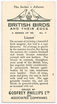 Linnet.