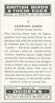 Carrion crow.
