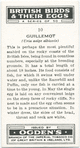 Guillemot.