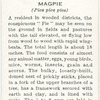 Magpie.