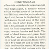 Nightingale.