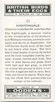 Nightingale.