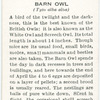 Barn owl.