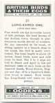 Long-eared owl.