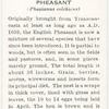 Pheasant.