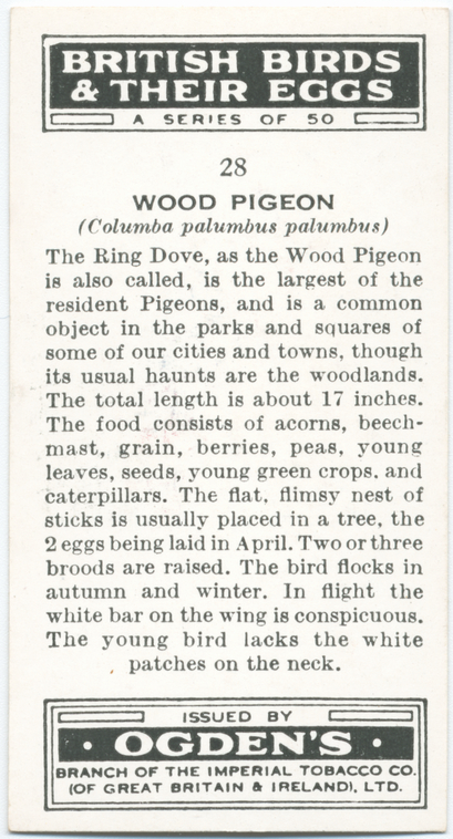 Index