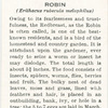 Robin.