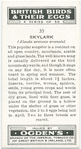 Skylark.