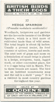 Hedge sparrow.
