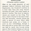 Swallow.