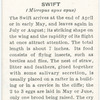 Swift.