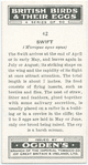 Swift.