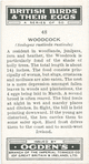 Woodcock.