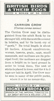 Carrion crow.
