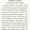 Turtle dove.