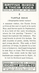 Turtle dove.