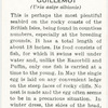 Guillemot.