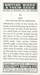 Jay.