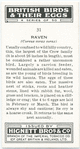 Raven.