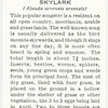 Skylark.