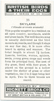 Skylark.
