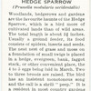 Hedge sparrow.