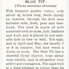 Blue tit.
