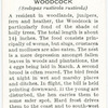Woodcock.
