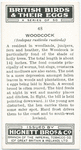 Woodcock.