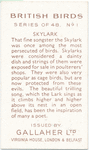 Skylark.