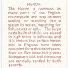 Heron.
