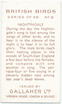 Nightingale.