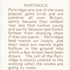 Partridge.