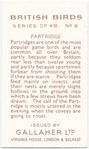 Partridge.