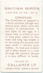 Corncrake.