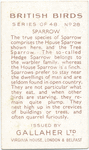Sparrow.