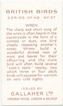 Wren.