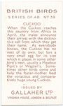 Cuckoo.