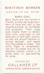 Barn Owl.