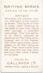 Wryneck.