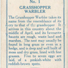 Grasshopper warbler.
