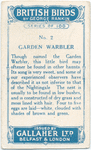 Garden warbler.