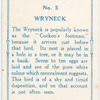Wryneck.