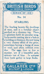 Starling.