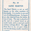Sand martin.