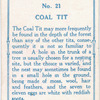 Coal tit.